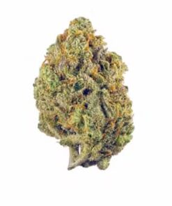 Buy Super Lemon Haze