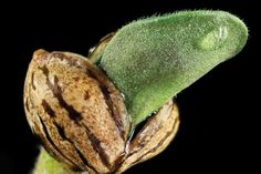 Cbd Oil For A Healthier Lifestyle