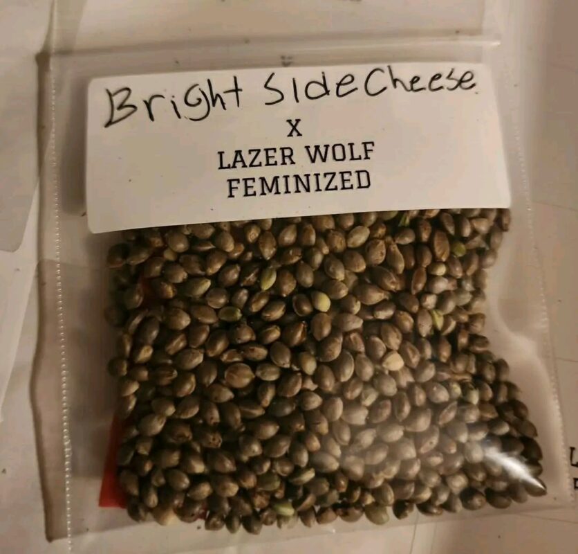 Fb Img 17373862850143177