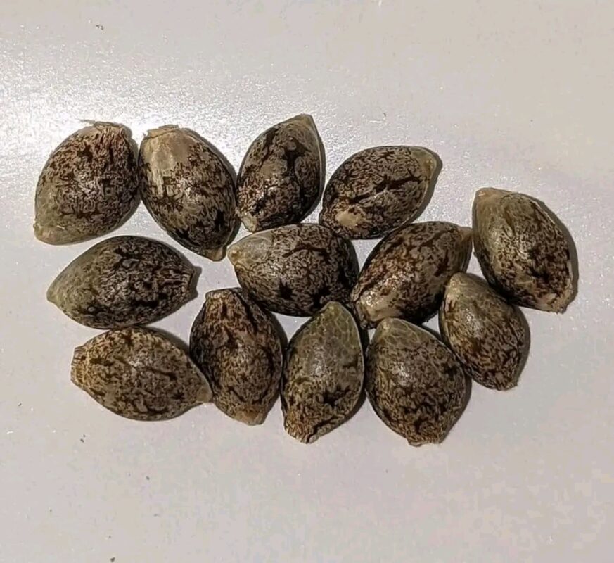 Fb Img 17364672255913678 1