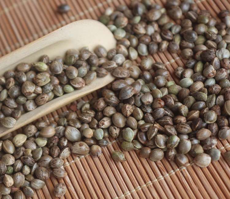 Yse1Hgvmn14Mohjbqmxixaxx