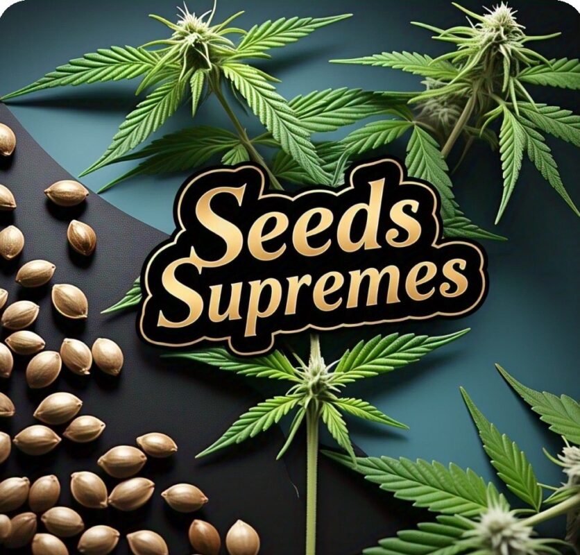 Diesel Auto Seeds For Sale In Florida