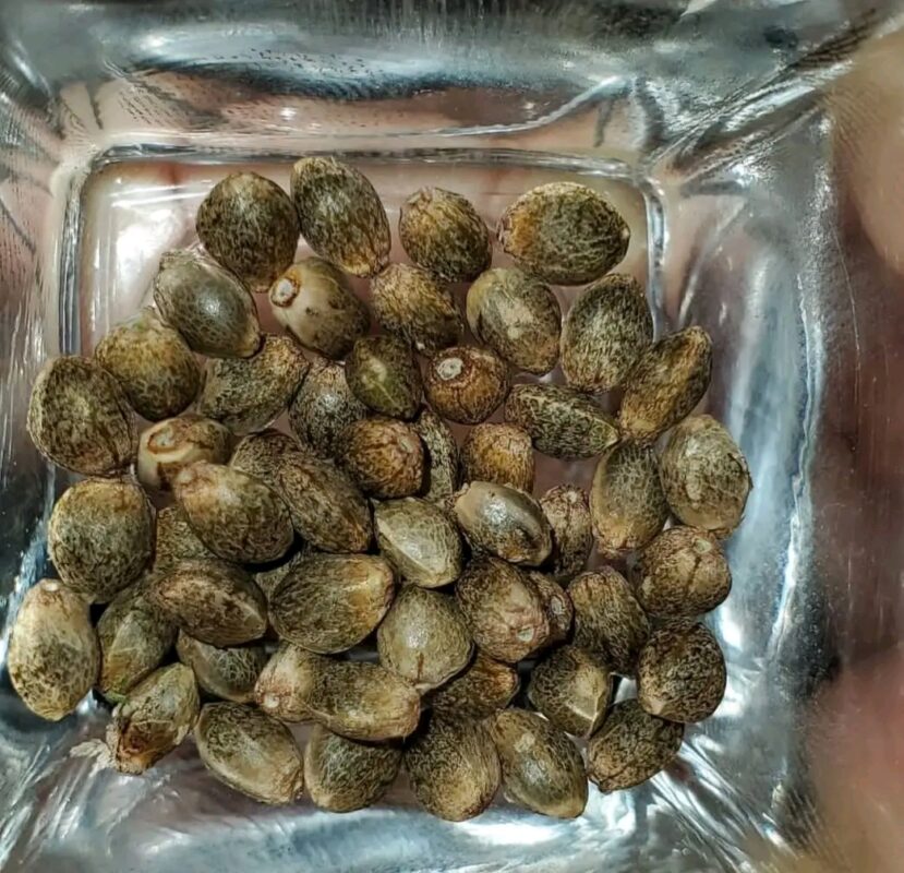 Fb Img 17379310693952895 1