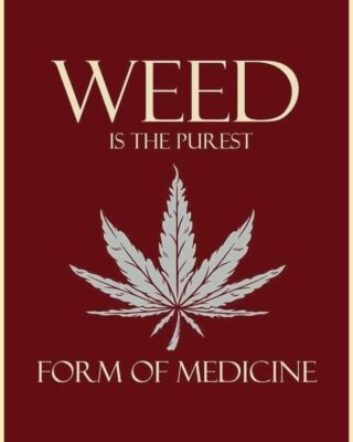 Fb Img 1744012529842