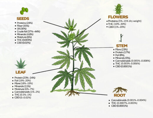 Crf370021 Fig 0001 M