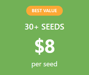 Screenshot 2026 04 01 182647