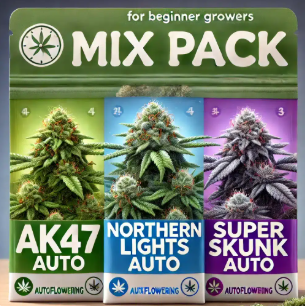 Screenshot 2026 04 02 180052