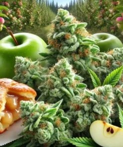 Apple Fritter Feminised Seeds