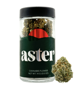 Aster Farms Grapesicle (H) – Smalls – 1/2 Ounce